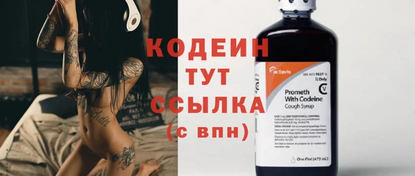 бошки Пересвет