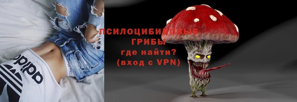 бошки Пересвет