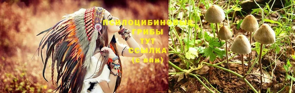 бошки Пересвет