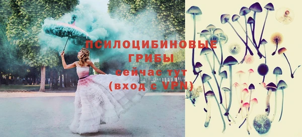 бошки Пересвет