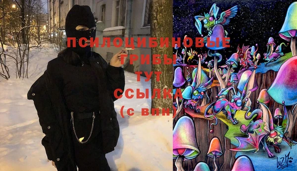 бошки Пересвет